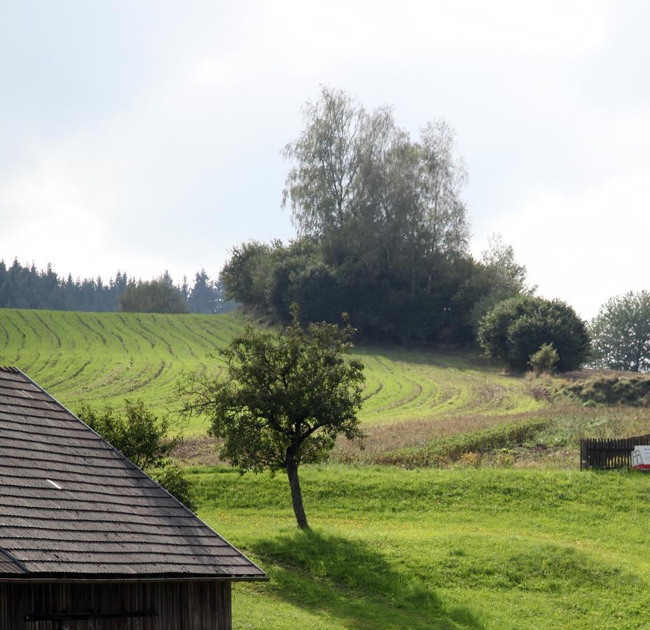 Ferienhof Stanzl Rappottenstein Exterior foto