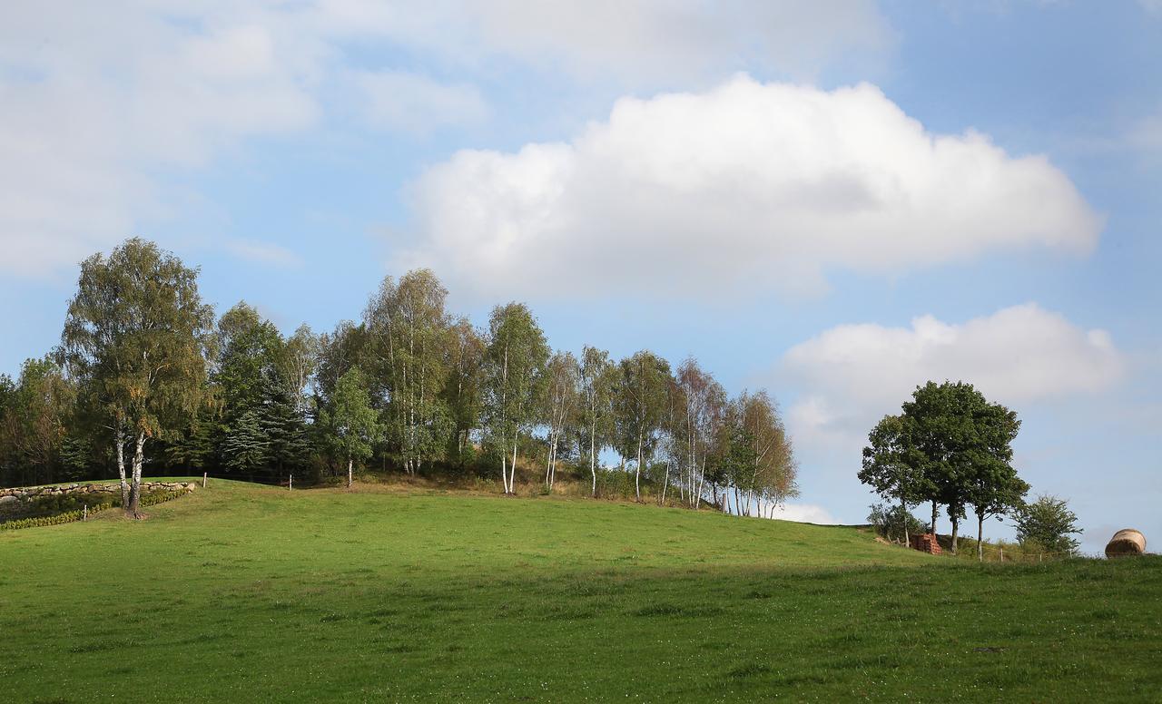 Ferienhof Stanzl Rappottenstein Exterior foto